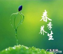 什么食物既能保肝护肝，又能防止肝脏被伤害呢