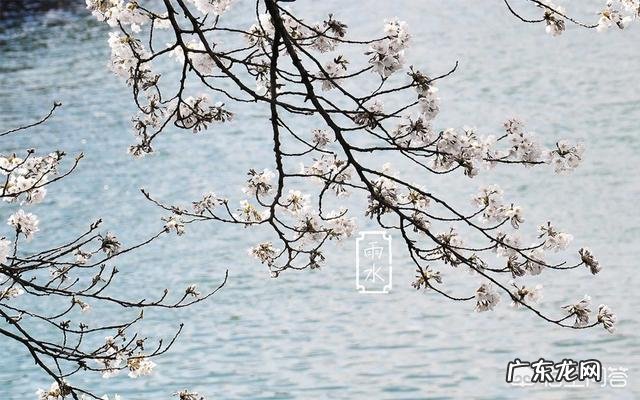 什么食物既能保肝护肝,又能防止肝脏被伤害呢