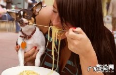 【犬腹膜炎症状】小狗腹膜炎缘故|确诊|防止及治疗方法