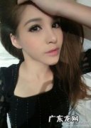 陈静仪破案的电视剧 陈静仪