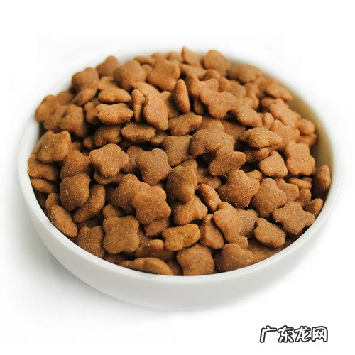 小狗怎样每日很多眼屎多,大狗有眼屎是怎么回事