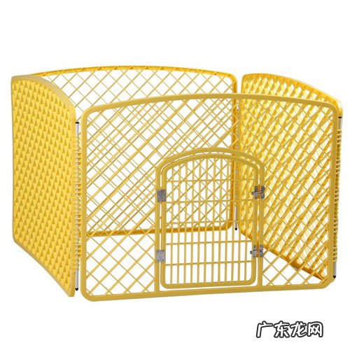 比熊耳螨怎么治疗,狗狗耳螨怎样彻底治疗