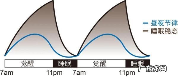 世界睡眠日是怎么确定的 世界睡眠日如何保证睡眠