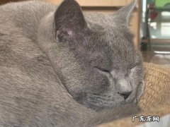 1分钟带你了解世界睡眠日 世界睡眠日青年人怎么才能睡好觉