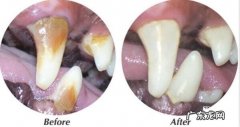 小狗牙周炎的缘故