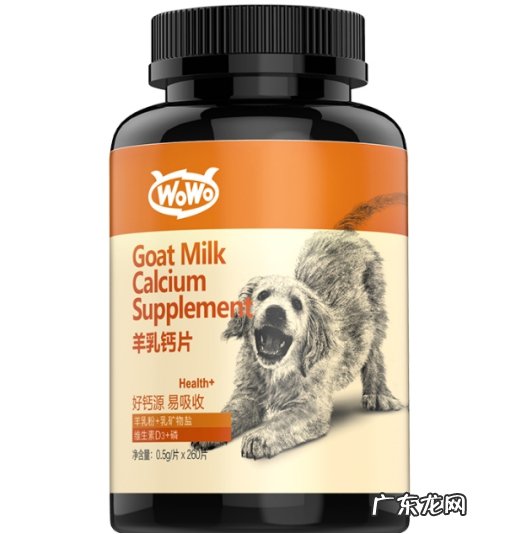 小狗缺钙吃什么,吃小狗孕妇钙片简易合理不粗鲁