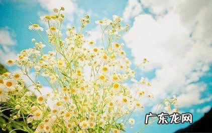 快手涨粉吸引人的标题