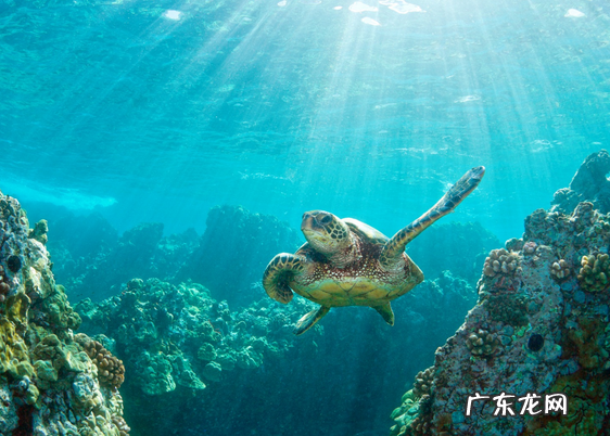 汇众旅游，打造微商奖励旅游3.0时代