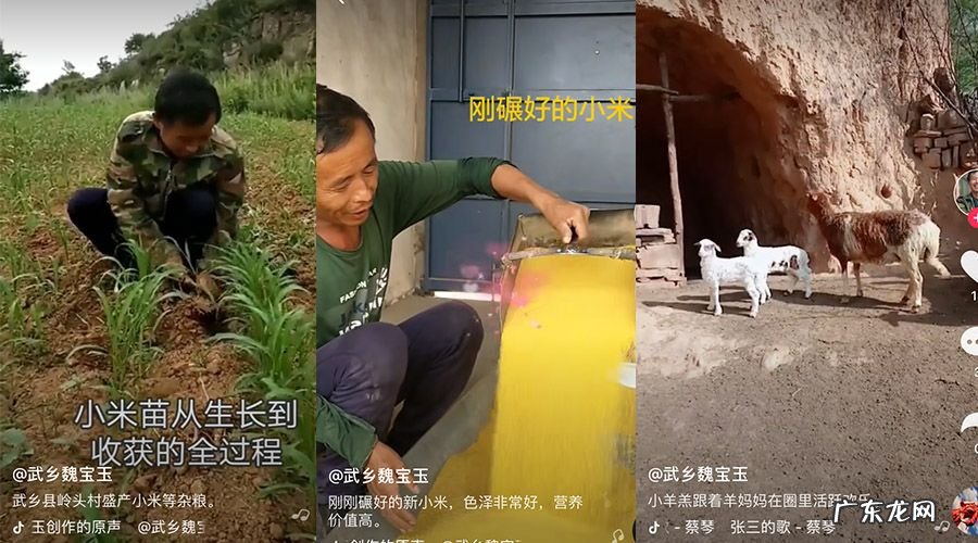 直播运营需要做什么？直播运营怎么做？