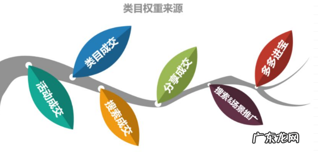 拼多多类目流量什么意思，类目流量怎么做？