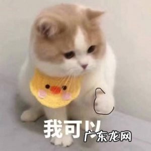 拼多多如何获取更多流量?关键词很重要!