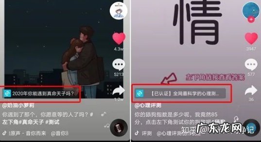 抖推猫是什么?抖推猫怎么赚钱?