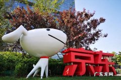 京东和唯品会哪个比较可信？京东和唯品优缺点分别是什么？