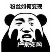 拼多多粉丝如何变现赚钱