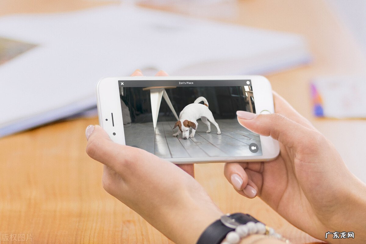 抖音播放量怎么提升?抖音怎么突破1000播放量?