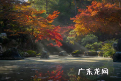 快手小店开通了不显示 快手主页不显示我的小店