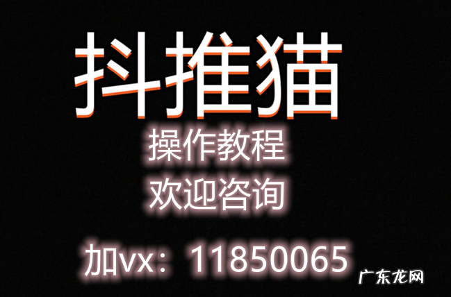 怎么推广操作抖推猫获得收益？