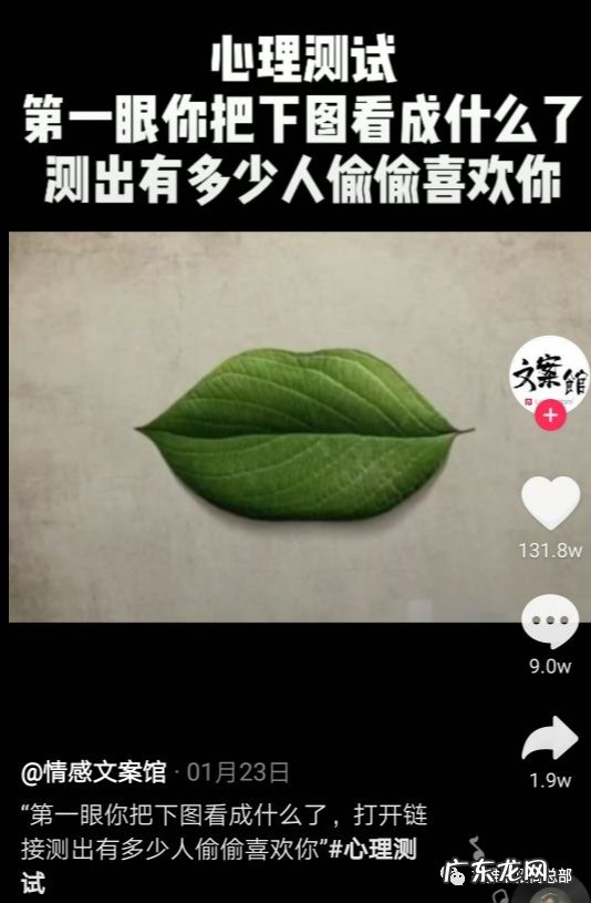 抖推猫能赚钱吗？怎么用抖推猫赚钱？