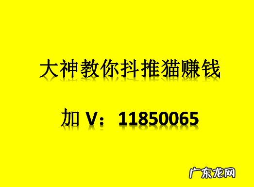 抖推猫能赚钱吗？怎么用抖推猫赚钱？