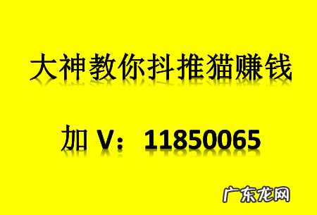 抖推猫怎么推广小程序？抖推猫如何产生收益？