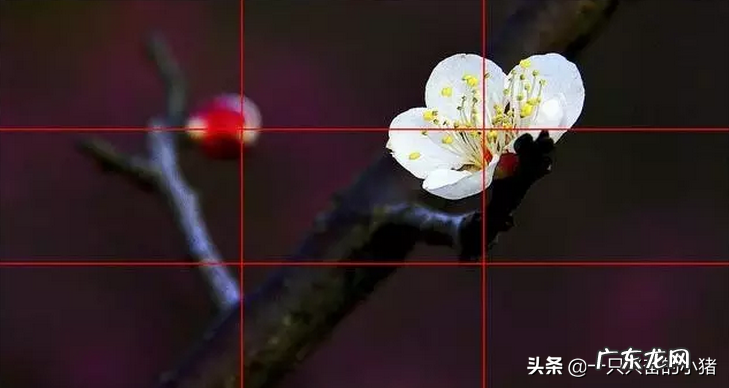 抖音特效怎么做？特效视频制作方法是什么？