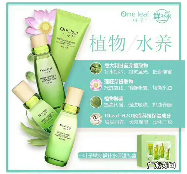 一叶子代理价格是多少？一叶子代理条件是怎样的？