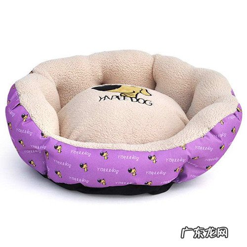 成人金毛狗狗狗狗拉稀吃黄连素，成人金毛狗狗拉肚子吃黄连素会好么