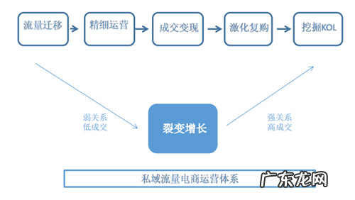 实体零售如何快速构建私域流量的电商体系？