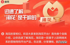 淘花是什么？淘花怎么玩?