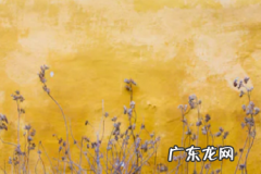 快手小店小额打款钱退到哪里？怎么申请退款？