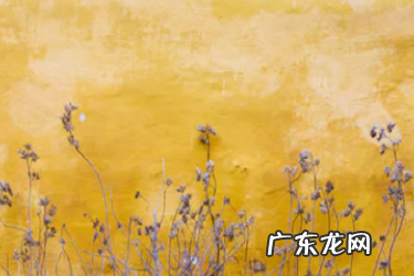 快手小店小额打款钱退到哪里？怎么申请退款？