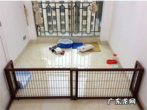 金毛犬耳朵里面内黑了是耳螨吗
