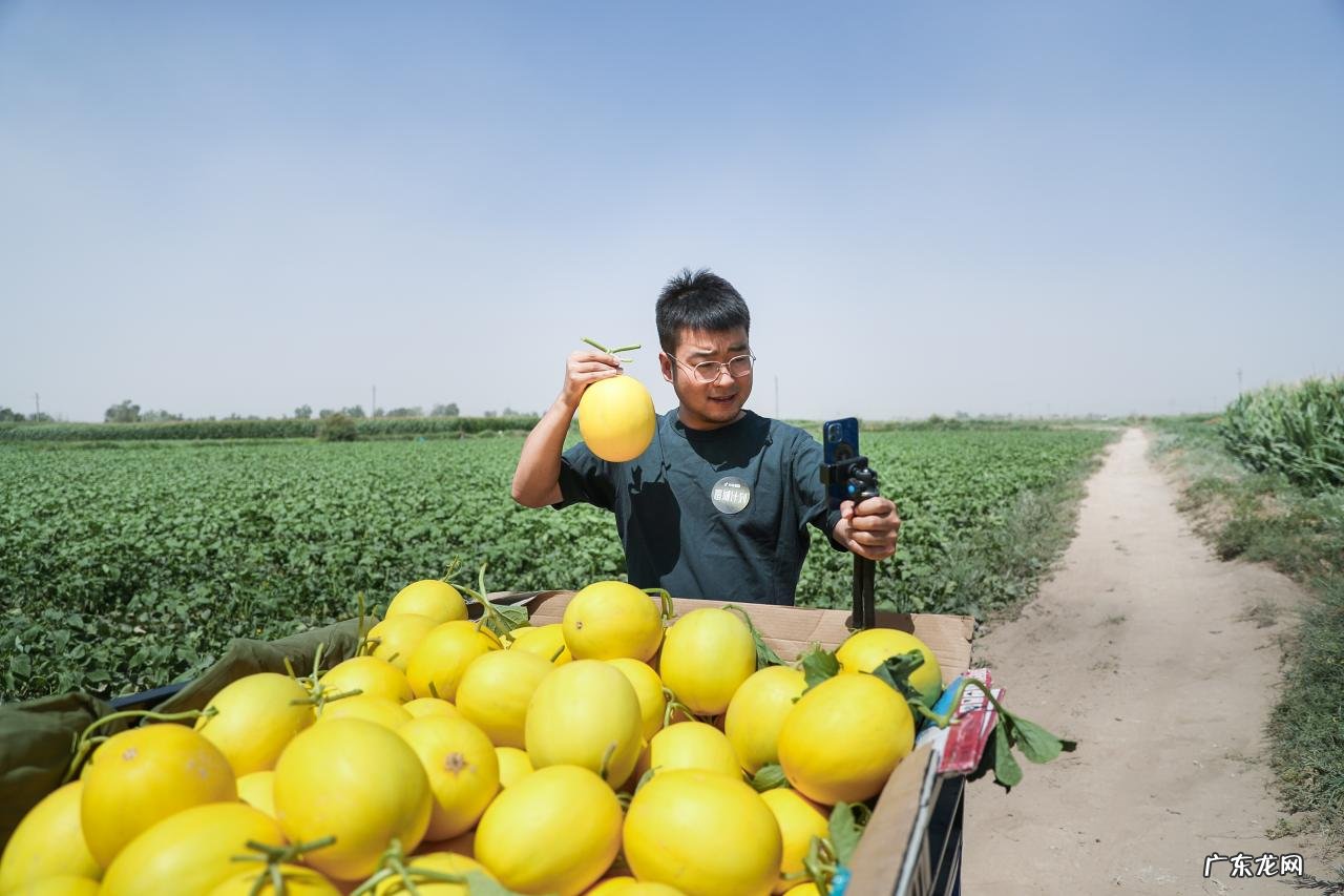 抖音电商&#8221;富域计划&#8221;走进甘肃民勤