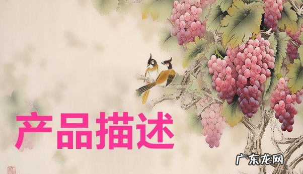 流量宝是什么?如何用流量宝刷流量