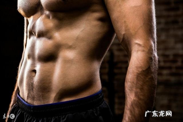 健身后喝豆奶是否能替代蛋白粉