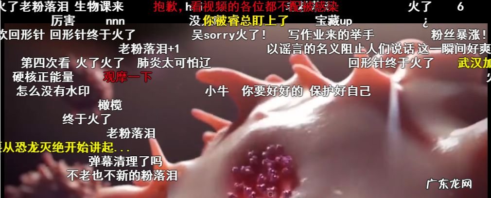 一个科普视频涨粉320万！回形针是如何做到的？