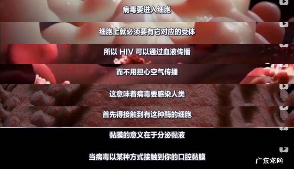 一个科普视频涨粉320万!回形针是如何做到的?