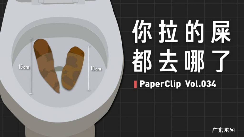 一个科普视频涨粉320万!回形针是如何做到的?