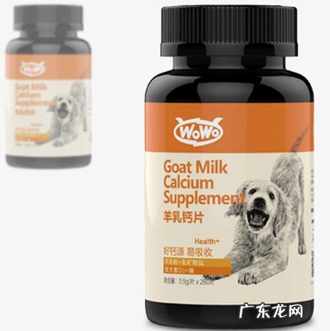 狗狗换牙期要注意什么,聪慧的猫奴必需小狗孕妇钙片