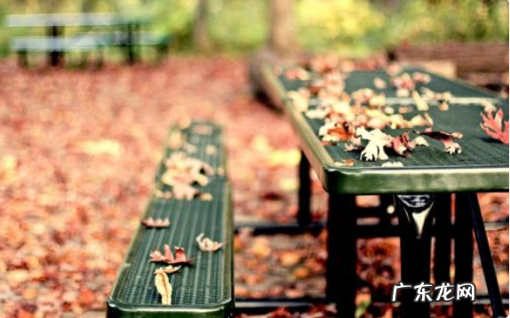 正规的淘宝刷单平台有哪些？刷单平台靠谱吗