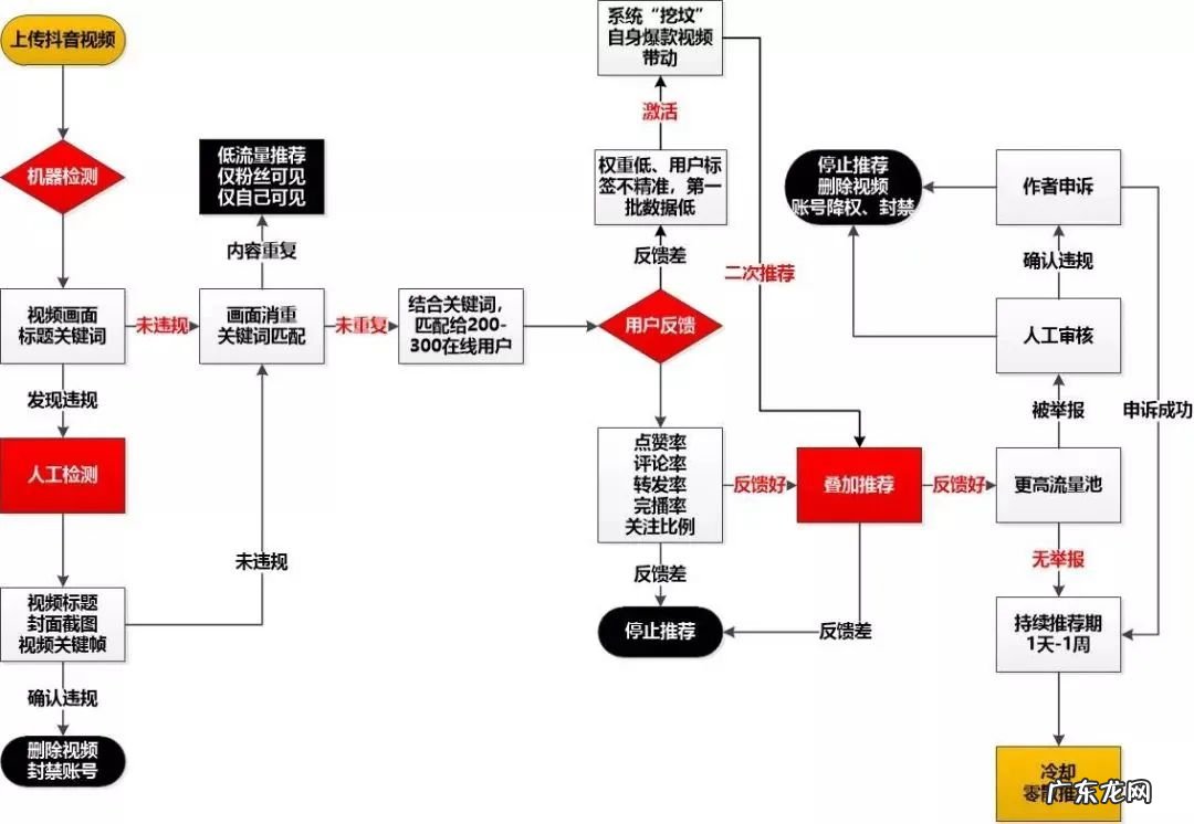 抖音号和微信视频号对比，做哪个更容易火？