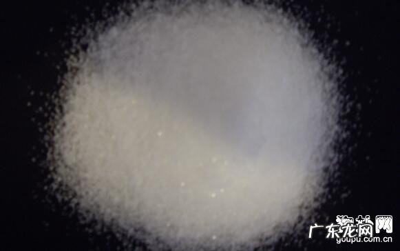 小狗误吃完耗子药应当该怎么办？