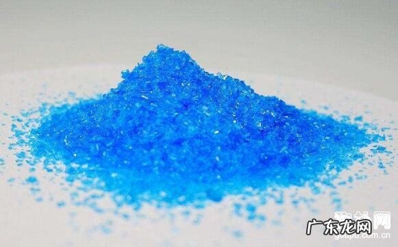 小狗误吃完耗子药应当该怎么办？