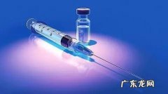 狗狗疫苗该如何打？教你怎样辨别真假预苗