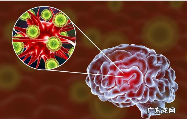 这6种原因会“造成”小狗得了细微，宠重要小心