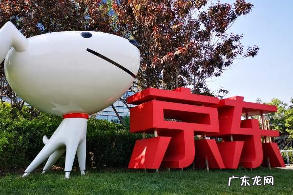 京东线上店铺怎么开通?京东入驻有哪些技巧?