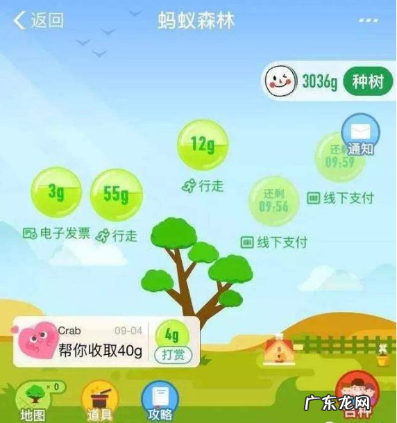 蚂蚁森林保护地有哪些?蚂蚁森林保护地有什么用?