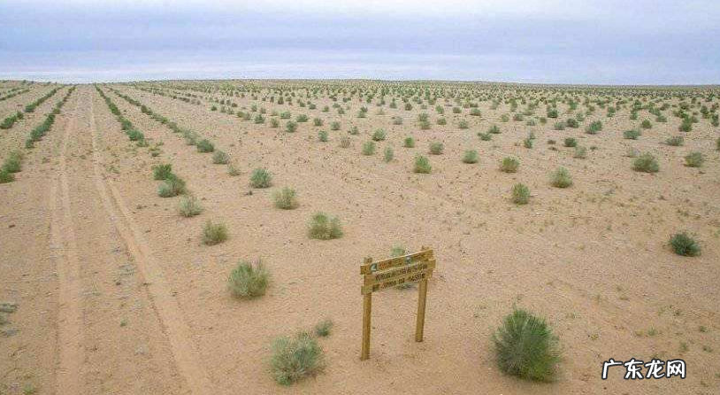 蚂蚁森林保护地有哪些?蚂蚁森林保护地有什么用?