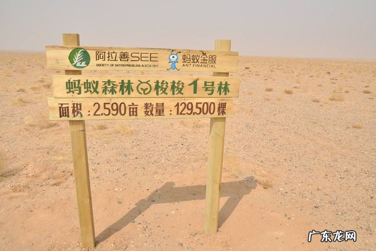 蚂蚁森林保护地有哪些?蚂蚁森林保护地有什么用?