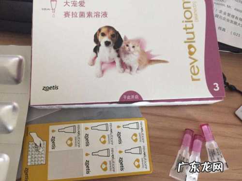 宠物小常识 大宠爱和犬心保哪个好?我养动物朋友极力推荐它